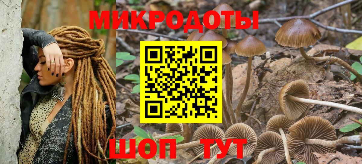 Губаха  Псилоцибиновые грибы Psilocybine cubensis  Вход с VPN 
