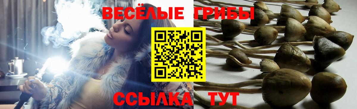 Губаха  МЕТ  Вход с VPN  Меф МЯУ МЯУ кристаллы  ГАШ  Канабис  NBOMe 